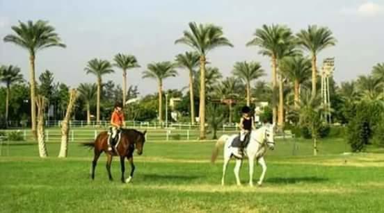 Sakkara Country Club Hotel El Hawamdeya Luaran gambar