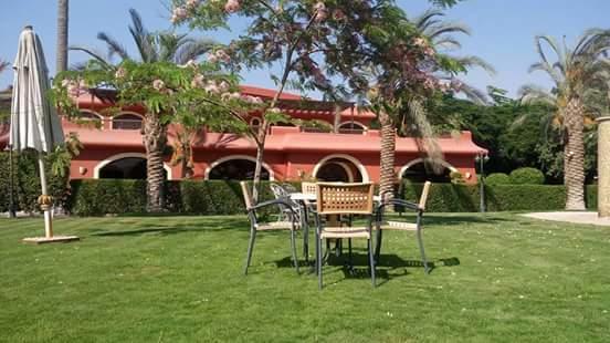 Sakkara Country Club Hotel El Hawamdeya Luaran gambar